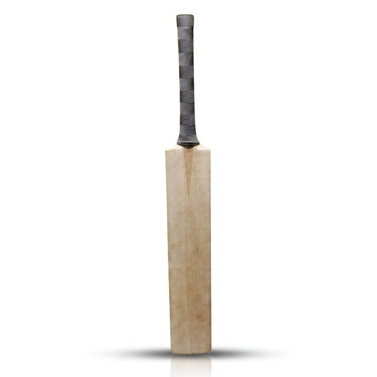 Kashmir Willow (Premium Quality)